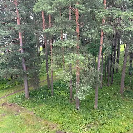 Luxurious En-suit With Sauna