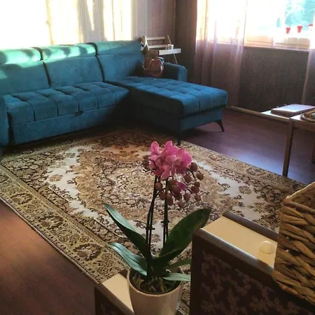 Luxurious En-suit With Sauna *